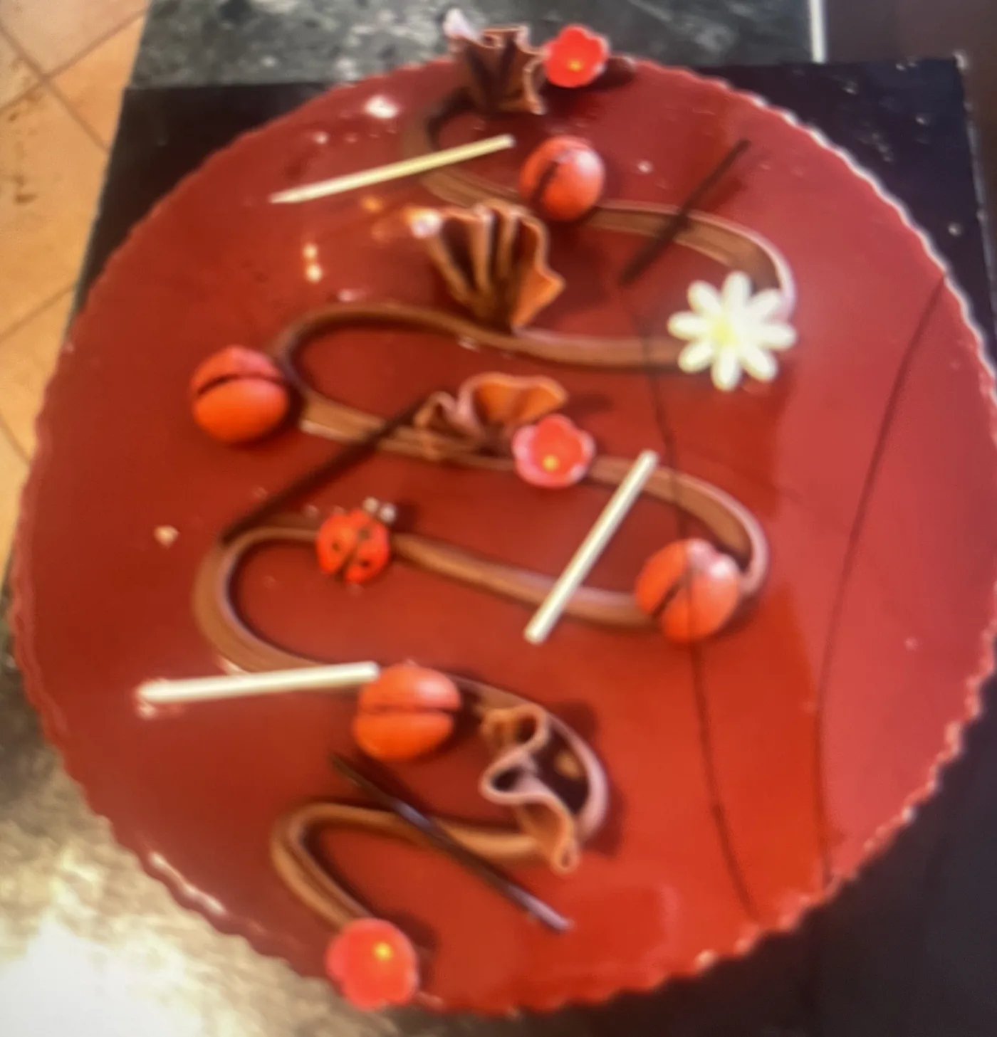 Entremet chocolat velours